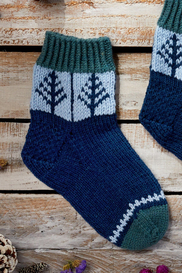 12 Days - 2023 - Blue Spruce Socks Kit Universal Yarn
