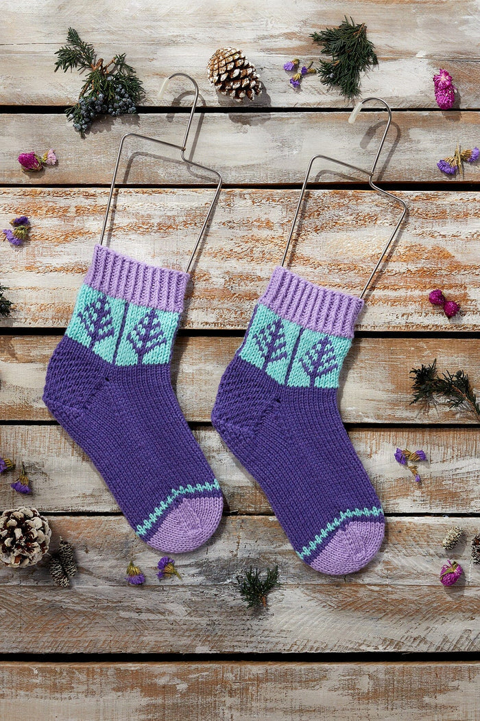 12 Days - 2023 - Blue Spruce Socks Kit Universal Yarn