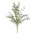 34.5" Eucalyptus Bundle