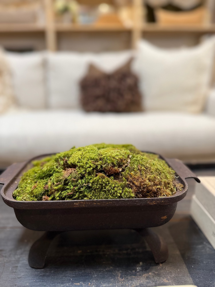 Antique dark cast iron basin with green moss on three feet, front view