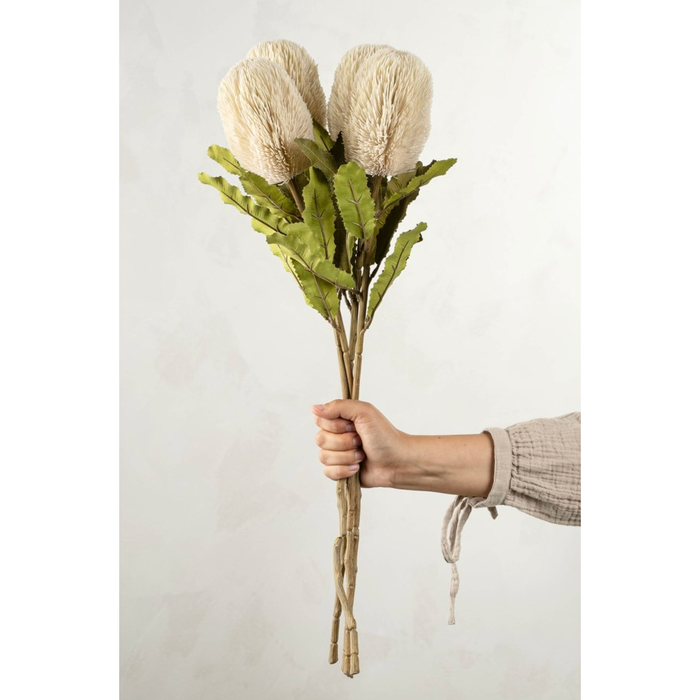 Banksia Floral Stem Cream