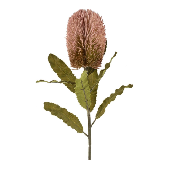 Banksia Floral Stem Pink