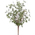 Berry and Eucalyptus Bush