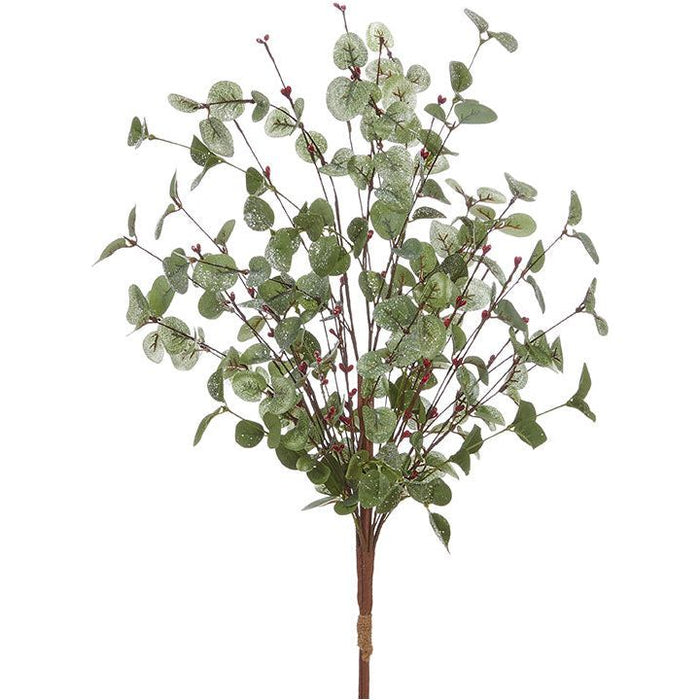 Berry and Eucalyptus Bush