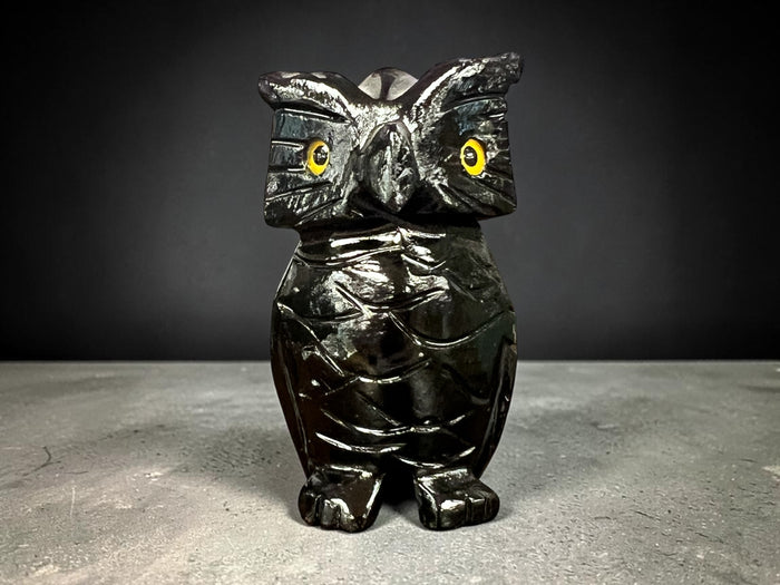 Black Calcite owl carving polished crystal figure for grounding protection and spiritual insight Raven’s Cauldron, 6 N Sandusky St, Delaware, OH 43015
