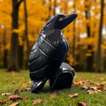 Black Calcite Raven, Raven's Cauldron, 6 N. Sandusky St, Delaware, OH 43015