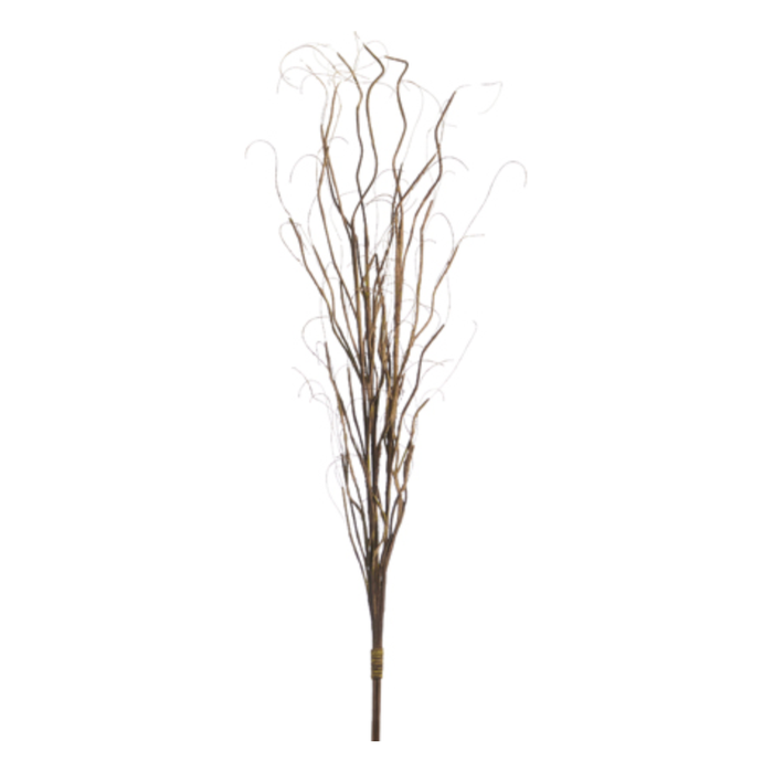 Curly Willow Bundle