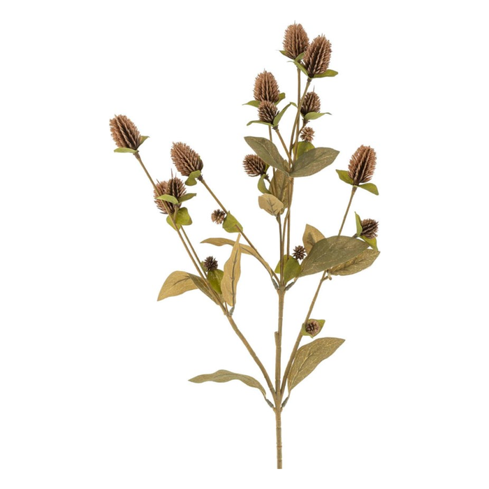 Globe Amaranth Spray