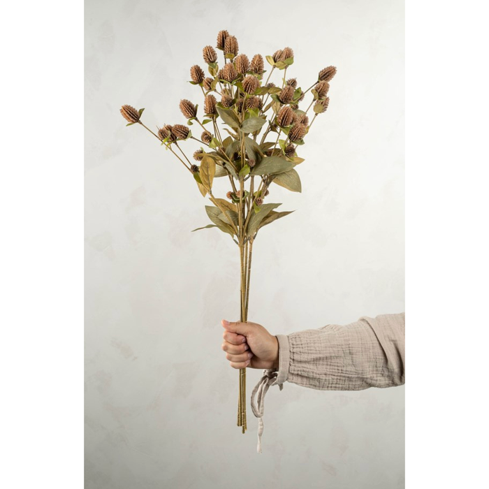 Globe Amaranth Spray