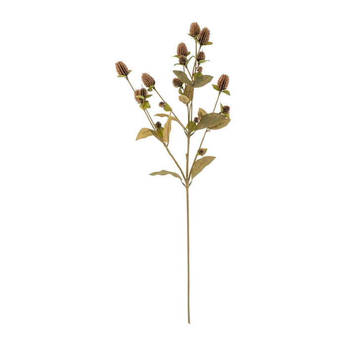 Globe Amaranth Spray