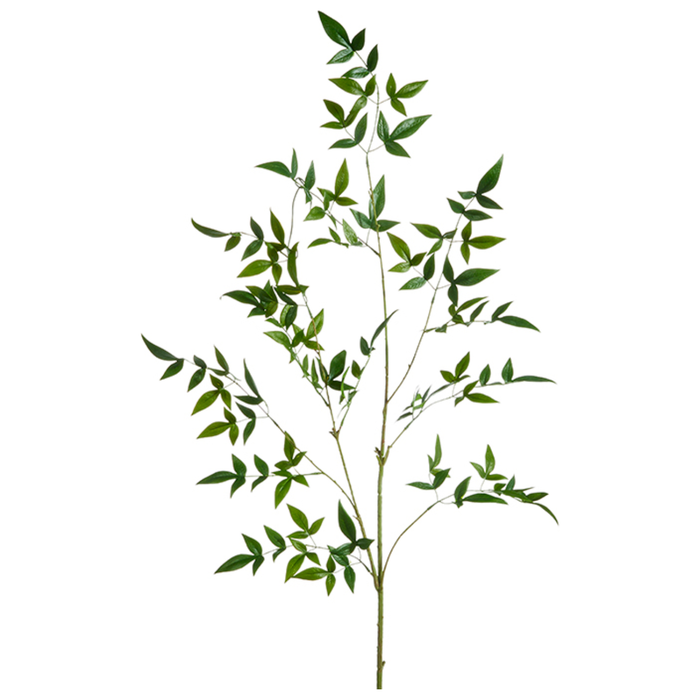 Green Leaf Branch