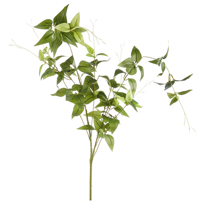 Green Leaf Spray