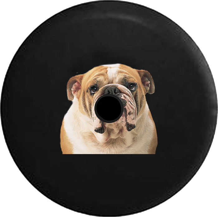 Jeep Wrangler JL Backup Camera Day English Bulldog Bull Dog RV Camper Spare Tire Cover-35 inch