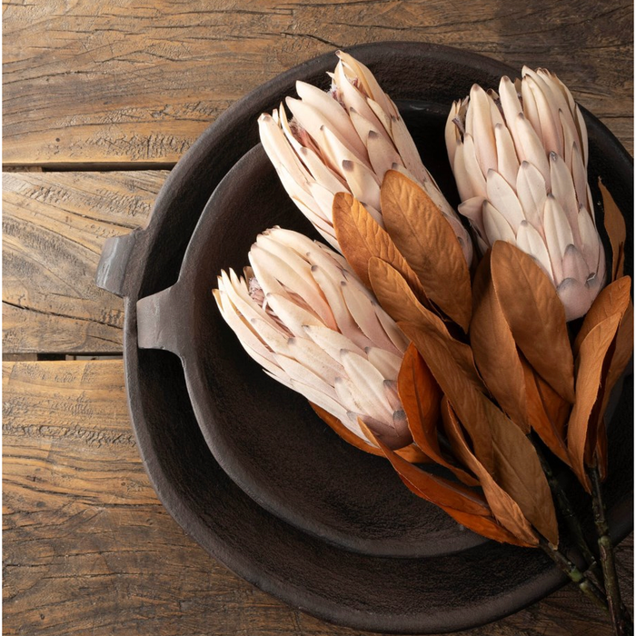 King Protea Floral Stem