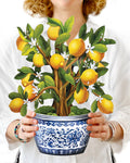 Lemon Tree - Freshcut Paper