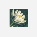 Lotus Linen Napkin