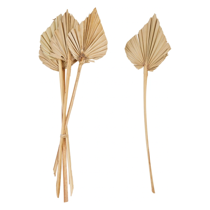 Palm Bunch, Spear Cut 21"