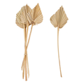 Palm Bunch, Spear Cut 21"
