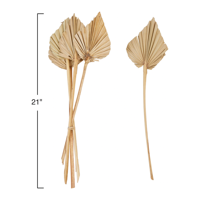Palm Bunch, Spear Cut 21"