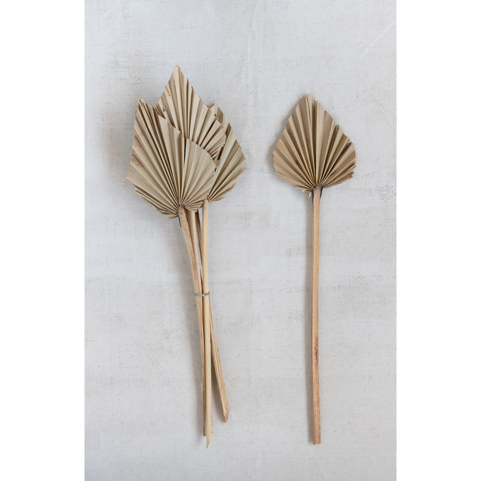 Palm Bunch, Spear Cut 21"
