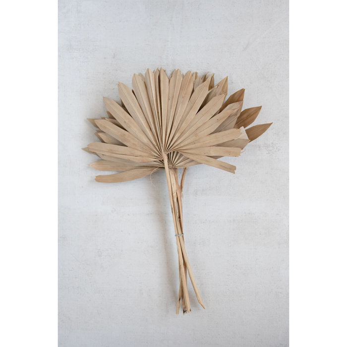 Palm Bunch, Sun Cut 21"