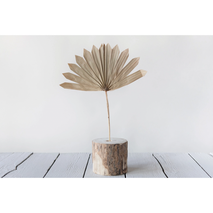 Palm Bunch, Sun Cut 21"