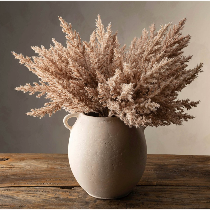 Pampas Grass Bundle