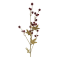 Sanicula Floral Spray