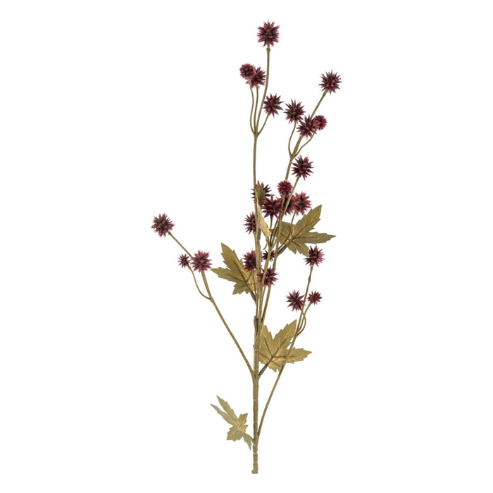Sanicula Floral Spray