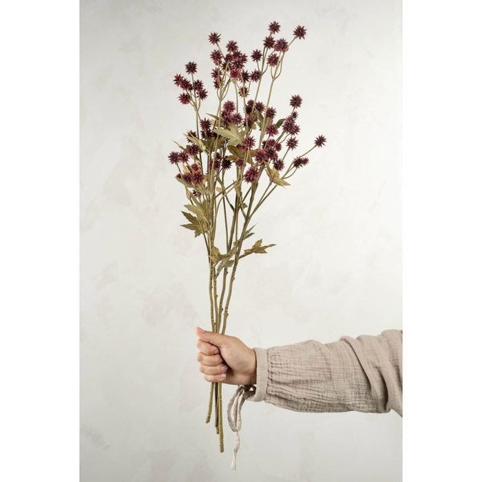 Sanicula Floral Spray