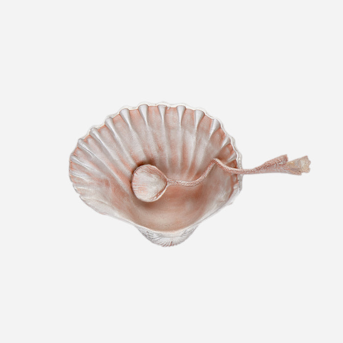 Shell Salt Cellar