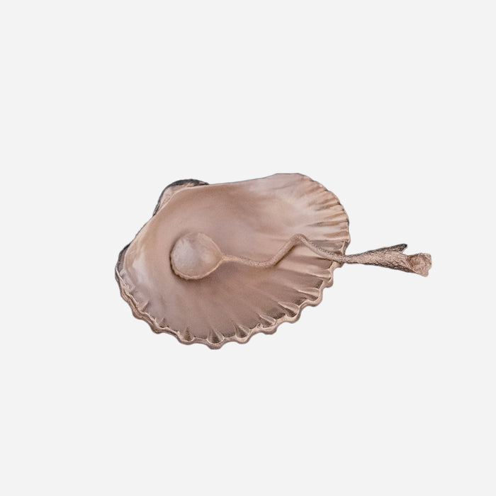 Shell Salt Cellar