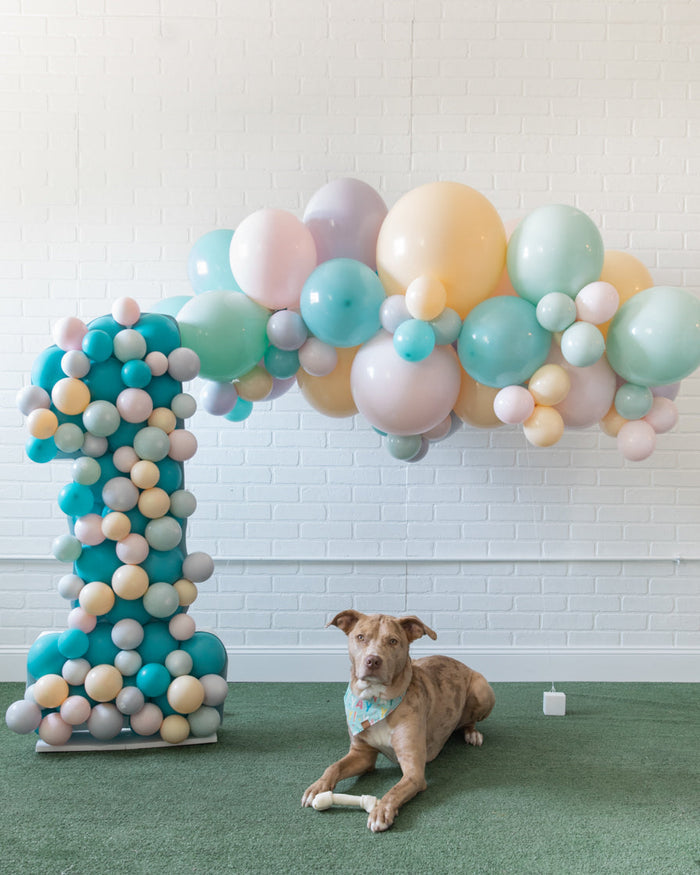 Soft Rainbow - Balloon Mosaic - 4ft