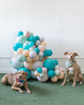Soft Rainbow - Organic Balloon Cluster - 3ft