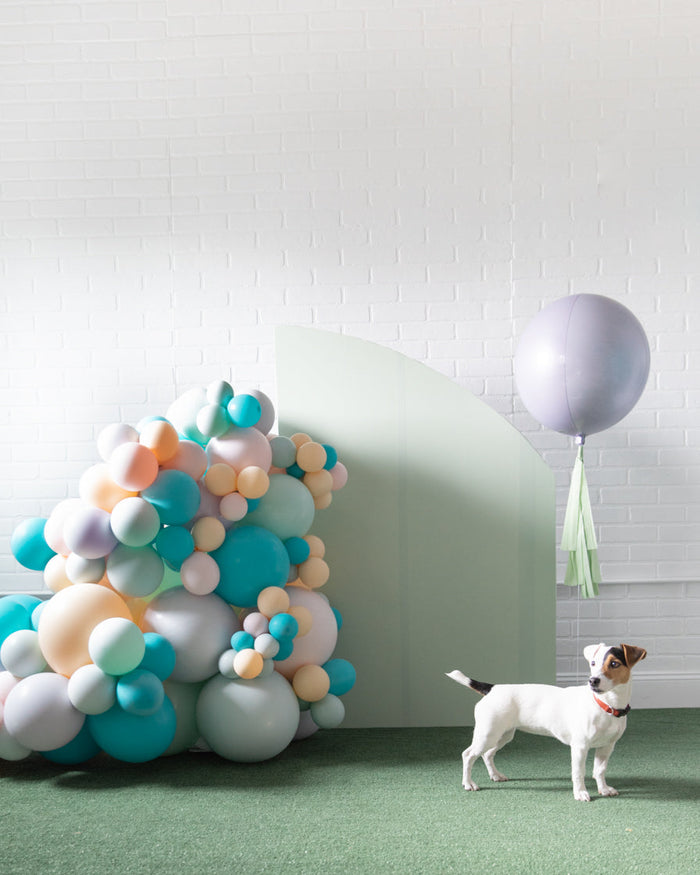 Soft Rainbow - Organic Balloon Cluster - 3ft
