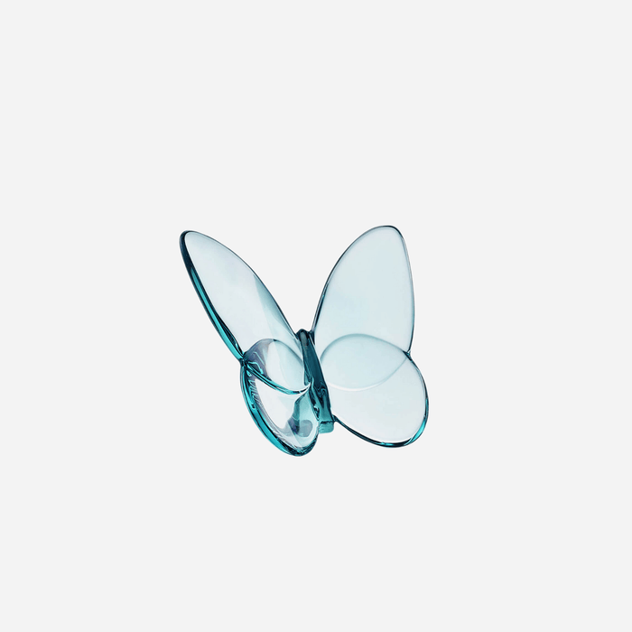 Turquoise Papillon Lucky Butterfly