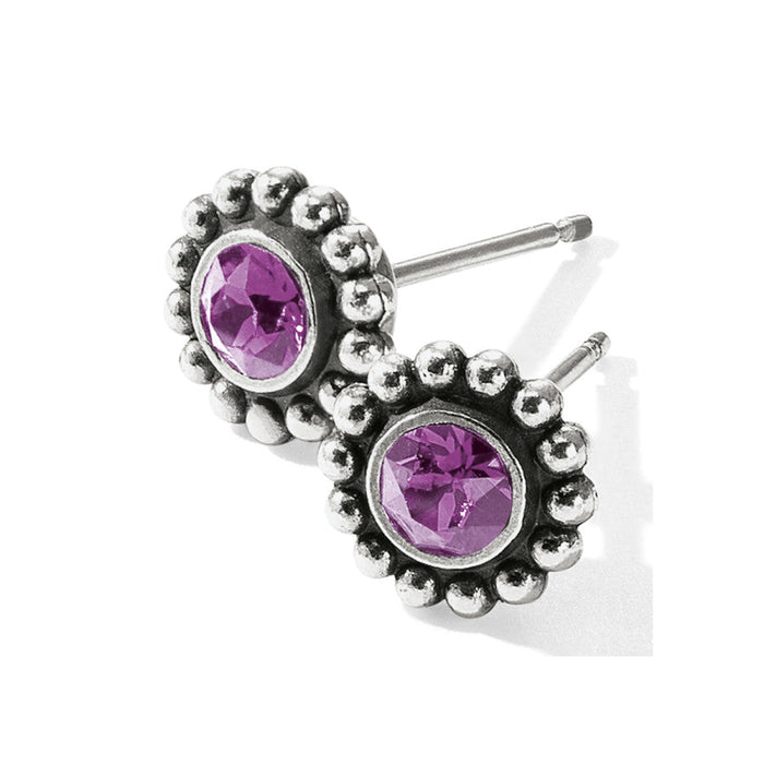 Twinkle Mini Post Earrings-February