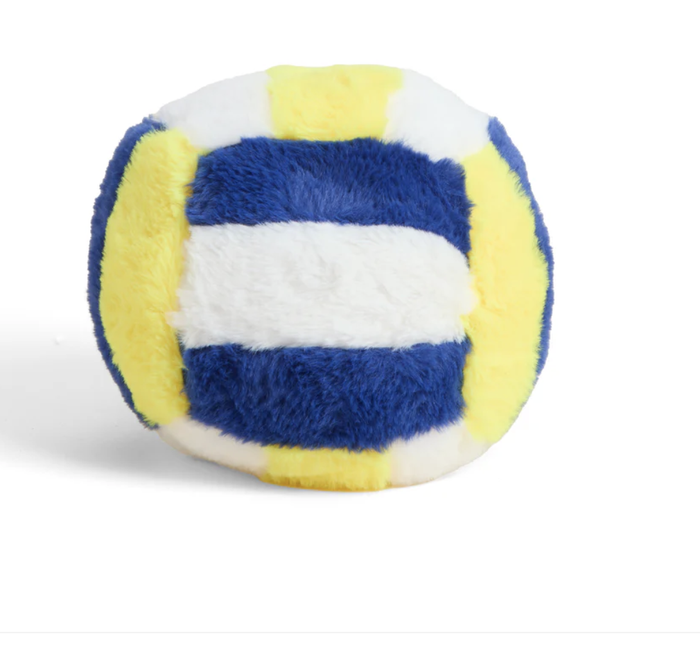 Volleyball Large